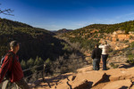 photo thumbnail #9