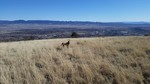 photo thumbnail #9