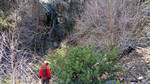 photo thumbnail #10