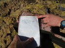 photo thumbnail #8