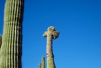 photo thumbnail #13
