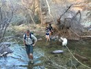 photo thumbnail #4