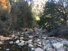 photo thumbnail #7