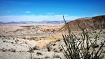 photo thumbnail #9
