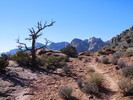 photo thumbnail #3