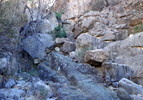 photo thumbnail #14