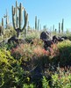 photo thumbnail #3