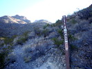 photo thumbnail #1