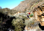 photo thumbnail #6