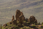photo thumbnail #10