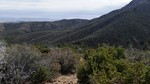 photo thumbnail #12