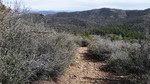photo thumbnail #14