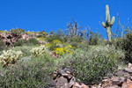photo thumbnail #7