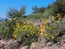 photo thumbnail #8