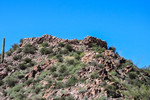 photo thumbnail #10
