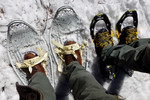 photo thumbnail #1