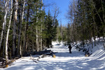 photo thumbnail #3