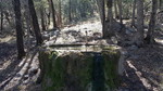 photo thumbnail #11