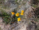photo thumbnail #10