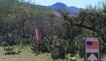 photo thumbnail #2