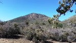 photo thumbnail #12