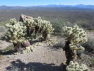 photo thumbnail #2