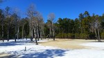 photo thumbnail #4
