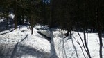 photo thumbnail #8