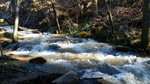 photo thumbnail #12