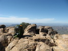 photo thumbnail #3