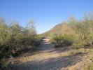 photo thumbnail #1