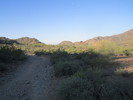 photo thumbnail #4