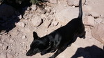 photo thumbnail #3