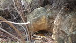 photo thumbnail #4