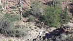 photo thumbnail #12