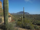 photo thumbnail #15