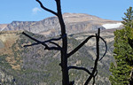 photo thumbnail #11