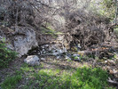 photo thumbnail #14
