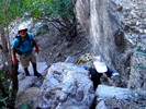 photo thumbnail #13