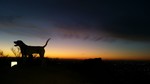 photo thumbnail #2