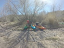 photo thumbnail #6
