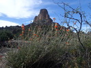 photo thumbnail #4