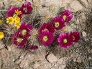 photo thumbnail #7