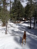 photo thumbnail #3