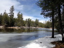 photo thumbnail #4