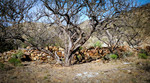 photo thumbnail #15