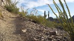 photo thumbnail #1
