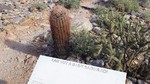 photo thumbnail #6