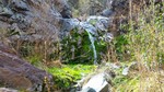 photo thumbnail #11