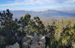 photo thumbnail #1